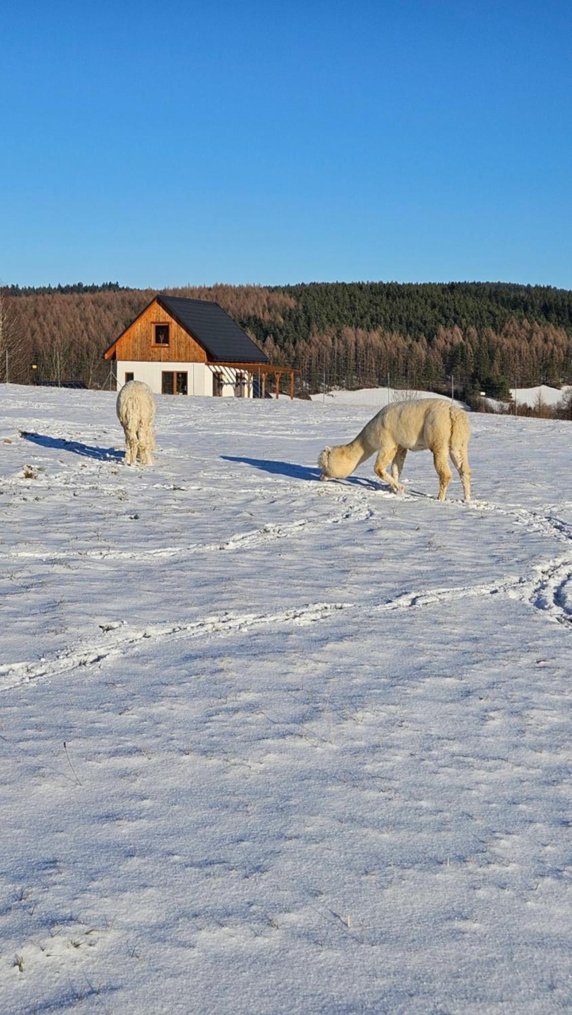 Pastelova Krova - Domki W Bieszczadach Ustrzyki Dolne Exteriér fotografie